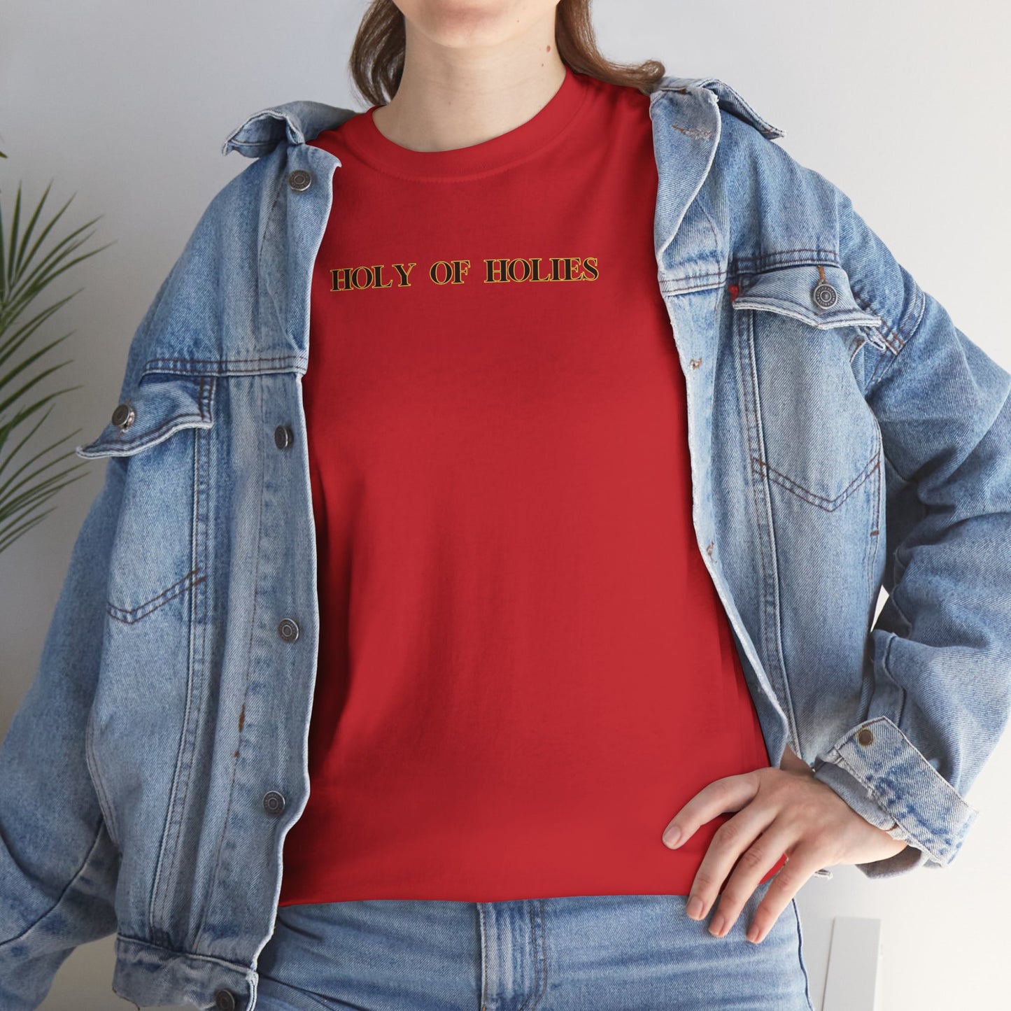 Holy of Holies Unisex Heavy Cotton Tee, Casual T-Shirt, Graphic Tee for Everyday Wear, Unique Gift for Friends, Trendy Vintage Style